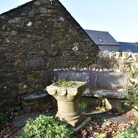 Crug Glas Country House St. Davids  Exteriör bild
