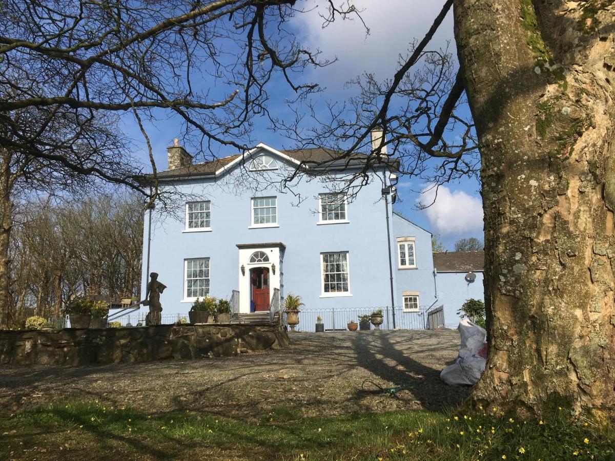 Crug Glas Country House St. Davids  Exteriör bild