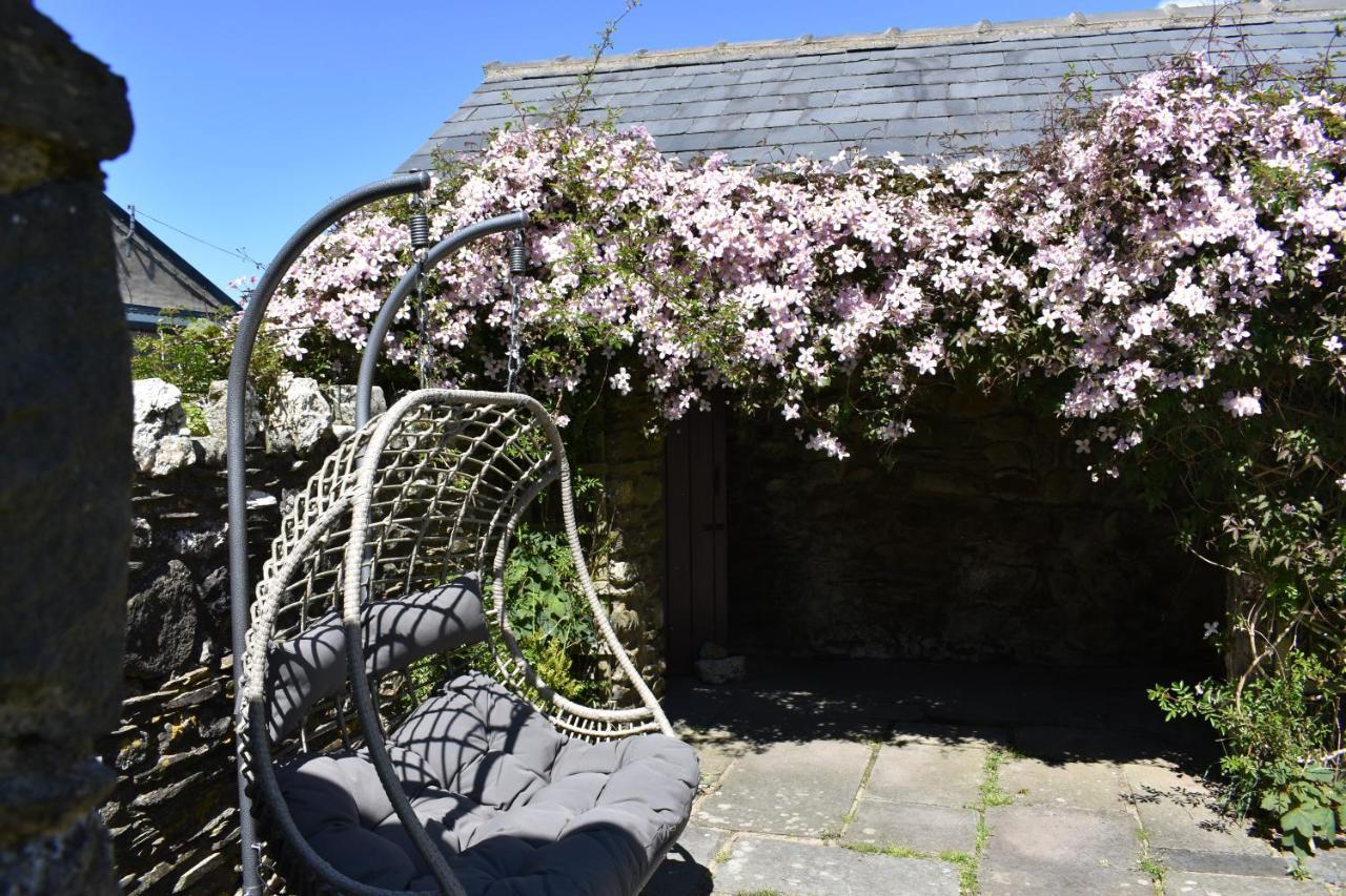 Crug Glas Country House St. Davids  Exteriör bild