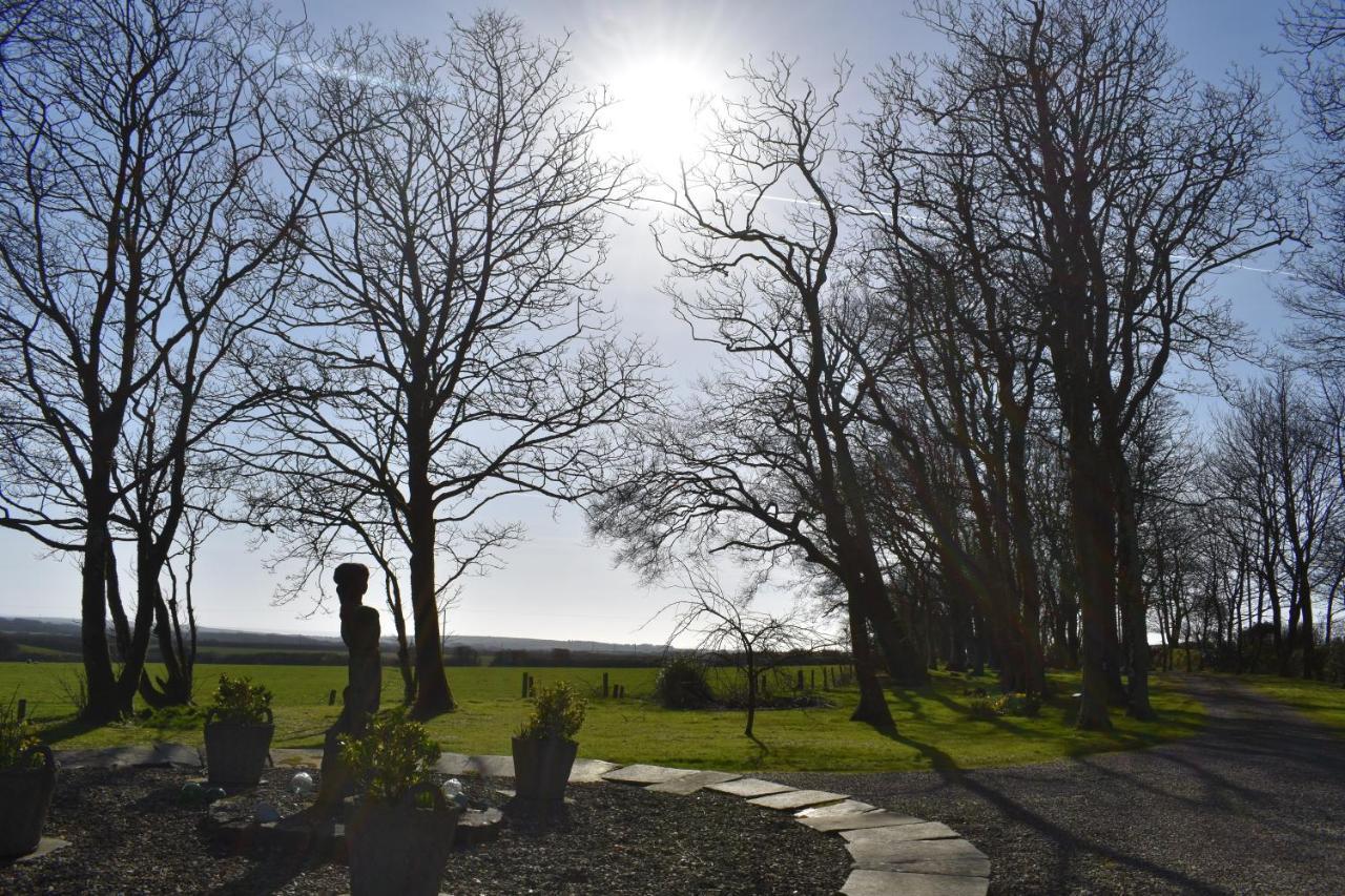 Crug Glas Country House St. Davids  Exteriör bild