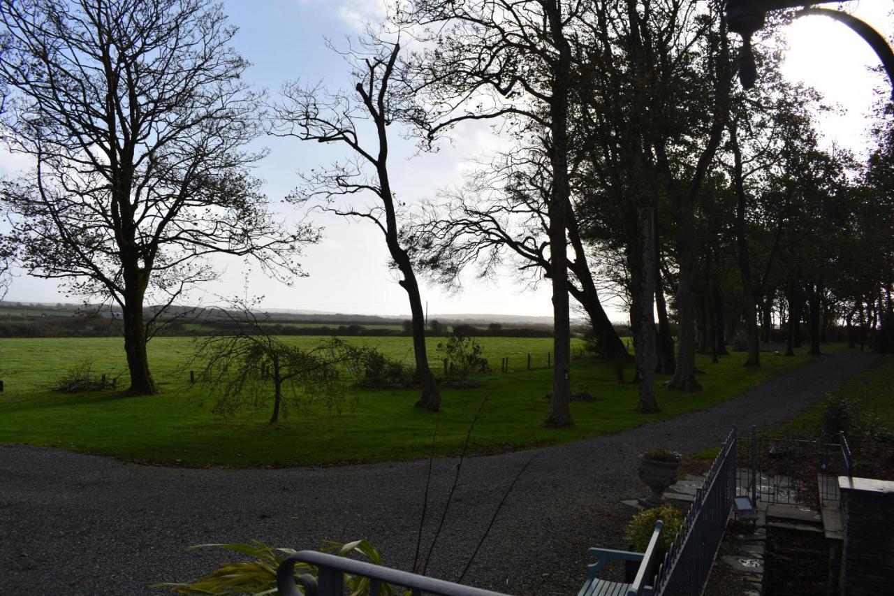 Crug Glas Country House St. Davids  Exteriör bild