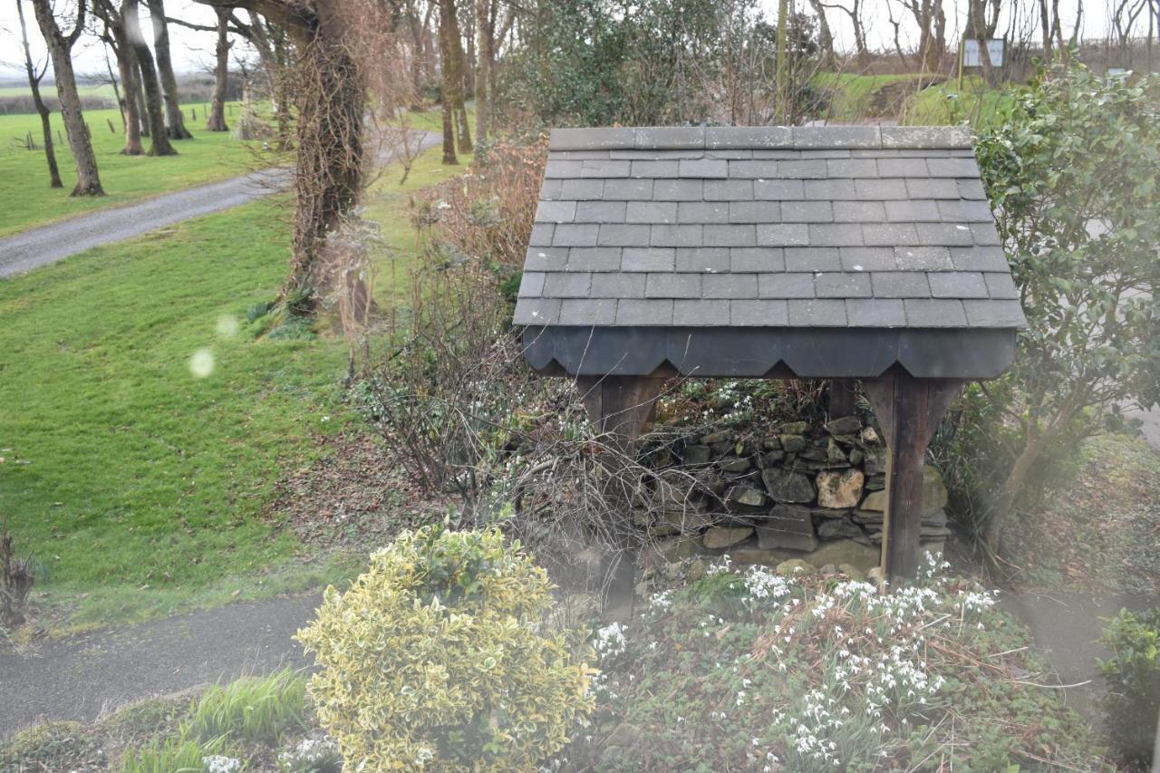 Crug Glas Country House St. Davids  Exteriör bild